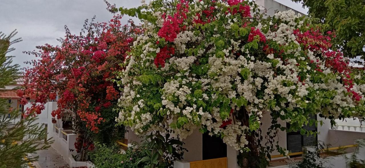 Le Boucanier Tavira Dış mekan fotoğraf