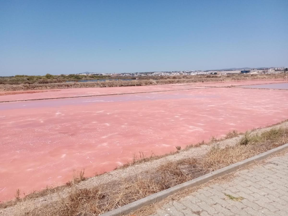 Le Boucanier Tavira Dış mekan fotoğraf