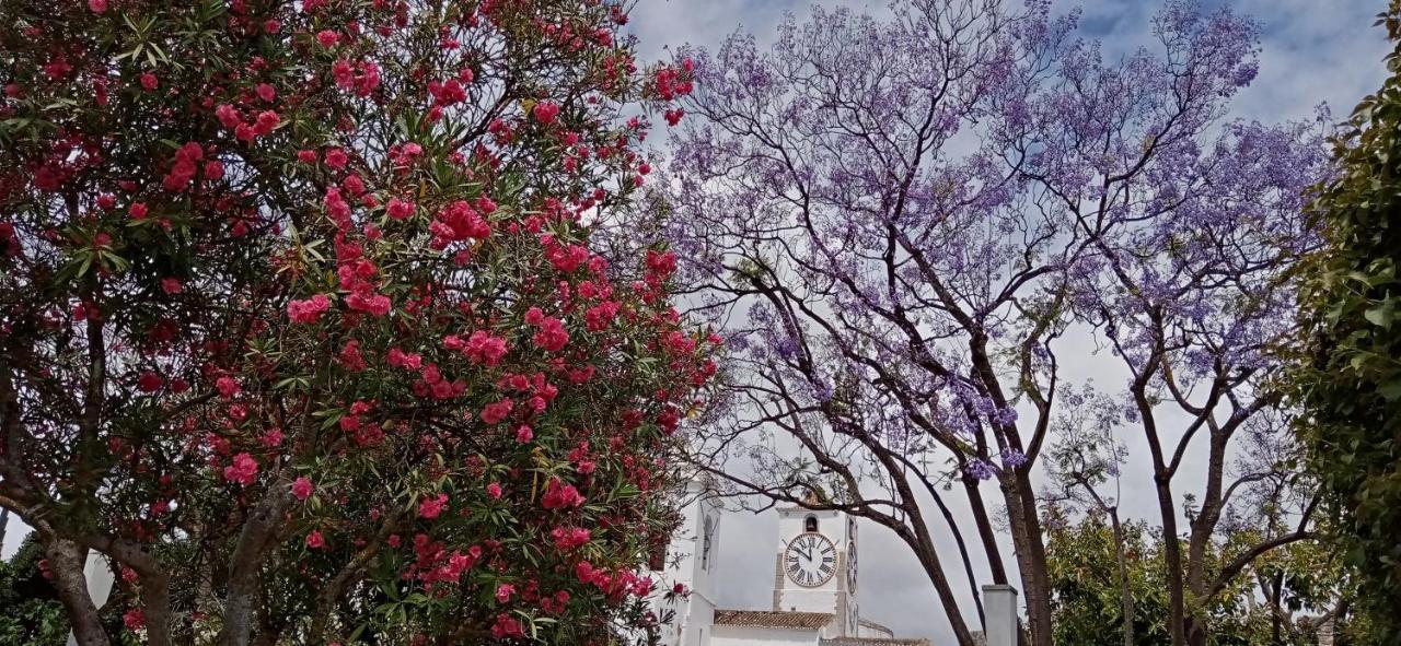 Le Boucanier Tavira Dış mekan fotoğraf