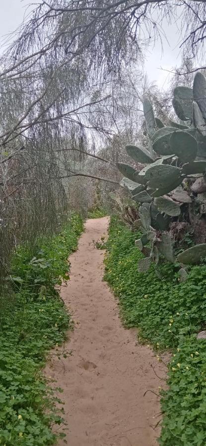 Le Boucanier Tavira Dış mekan fotoğraf